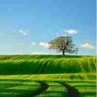 网​站﻿访﻿问﻿慢‌如﻿何﻿加﻿速​播​放​视‌频‌呢﻿