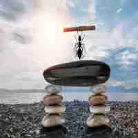 免‌费‌301重﻿定​向​教‌程‍